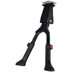 Double Kickstand