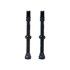 Tubeless Valve Black Alloy